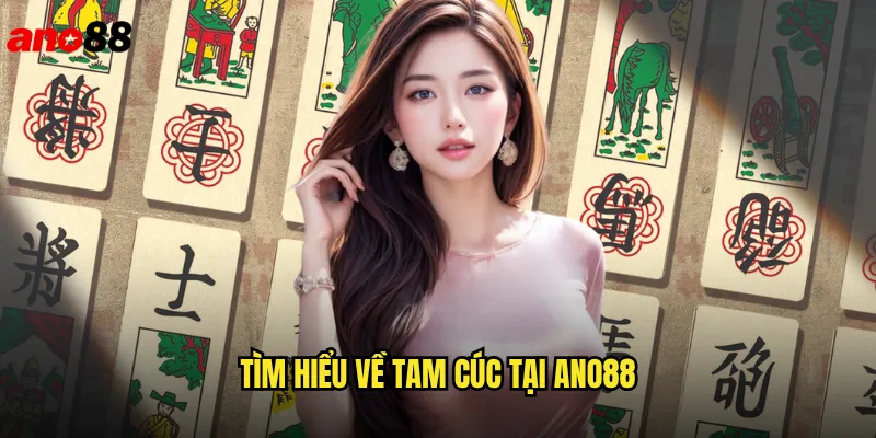 Tam Cúc ano88 Trải Nghiệm Game Bài Ba Lá Đỉnh Cao 2 Tìm Hiểu Về Tam Cúc Tại ano88